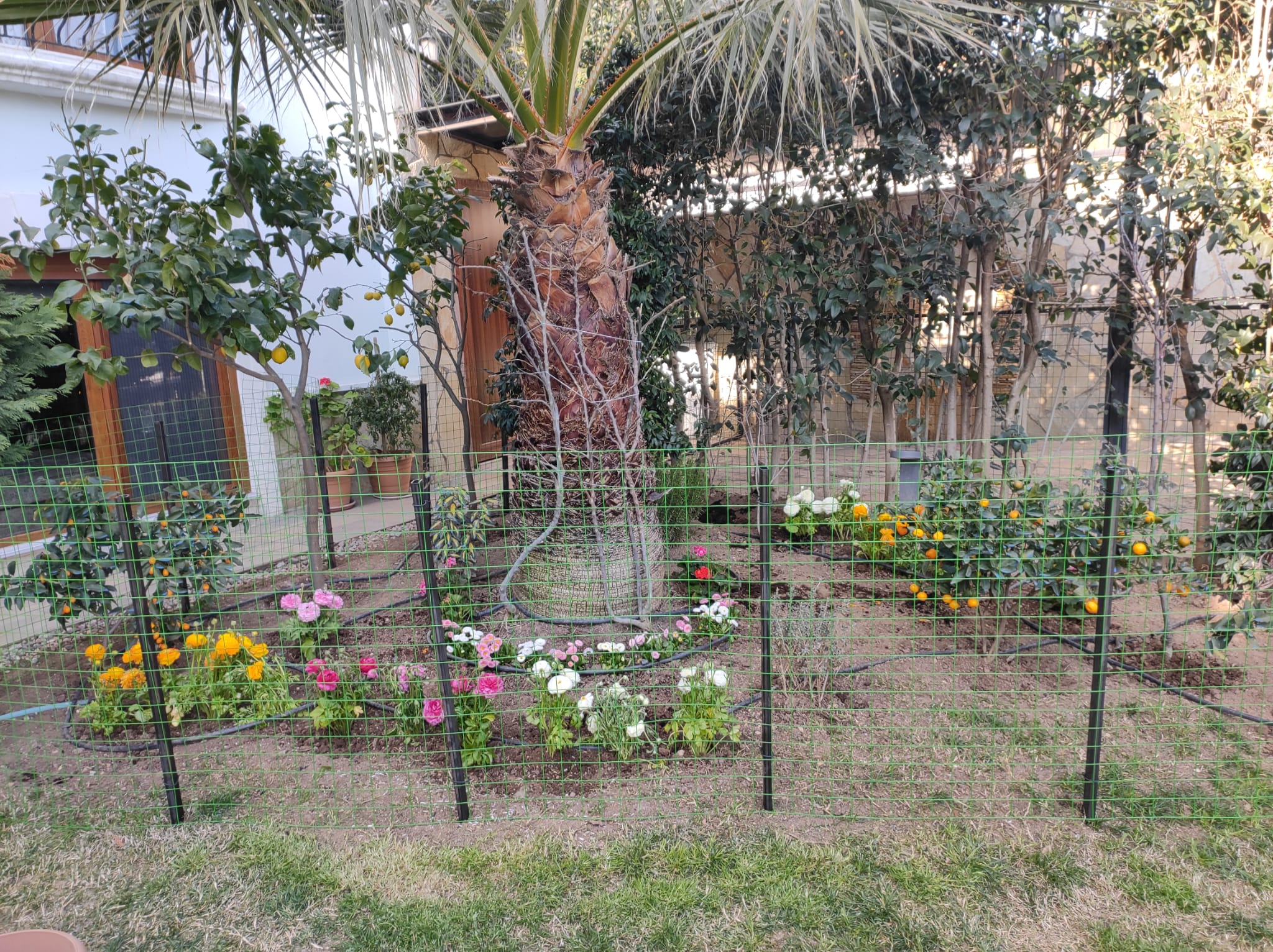 Peyzaj Tasarımı